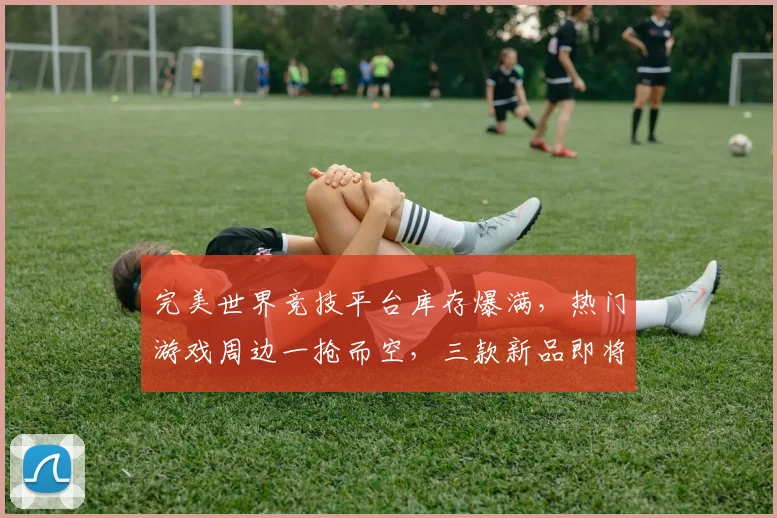 完美世界竞技平台库存爆满，热门游戏周边一抢而空，三款新品即将上架，惊喜连连